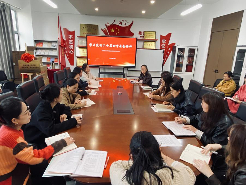 基础与概论教研室党支部学习党的二十届四中全会精神